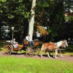 Kutschfahrt Kutschfahrt